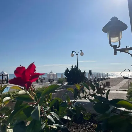 Sunflowers Summer Home