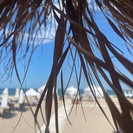 Sunflowers Summer Home * Lozenets