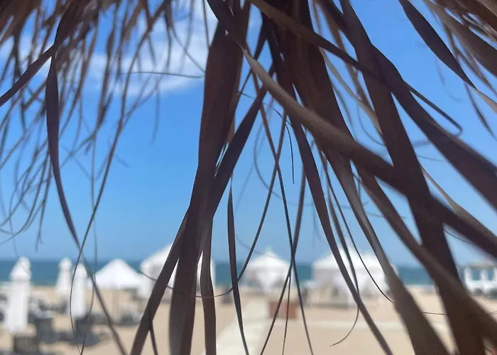 Sunflowers Summer Home * Lozenets